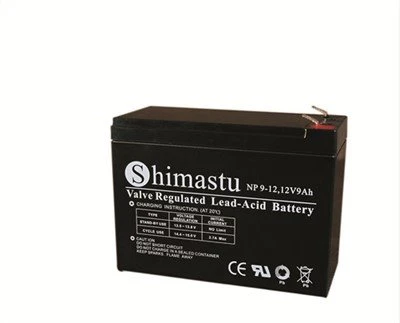 12V 9Ah punjiva baterija